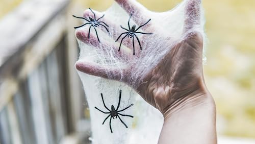 Halloween Spider Web Decoration with 8 Plastic Spiders, 200 Sq Ft