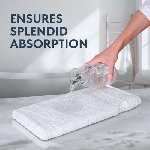 White Classic Turkish Cotton Hand Towels Set of 6 - Soft & Absorbent