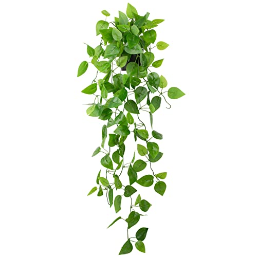 Realistic Artificial Hanging Pothos Plant in Black Pot - 39 Inch Vine