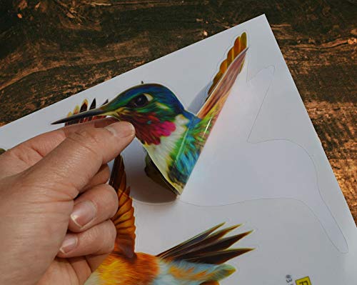 Hummingbird Window Clings - Set of 12 Anti-Collision Decals