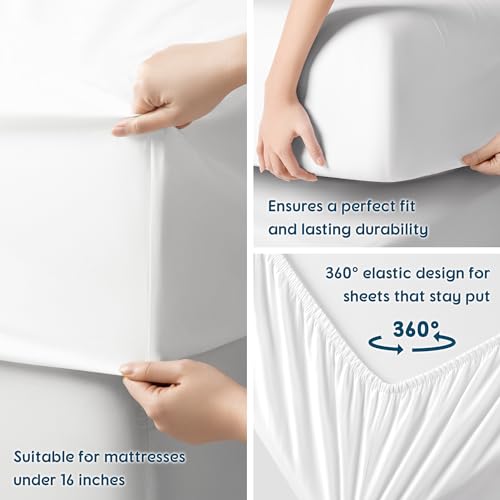 SONORO KATE 800 Thread Count Egyptian Cotton King Sheets Sateen Weave