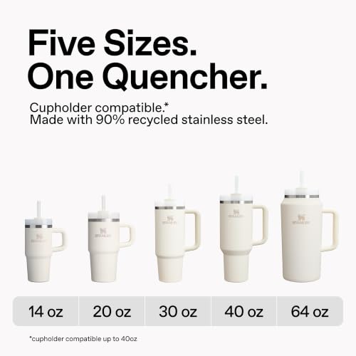 Insulated Stainless Steel Travel Tumbler 30 oz with Handle and Straw