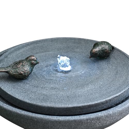 30.7" Outdoor Floor-Standing Water Fountain with LED Lights & Bird Motif