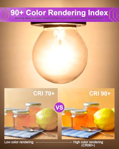 25 Watt Wax Warmer Light Bulbs - G16.5 Globe for Candle Warmers, 6 Pack