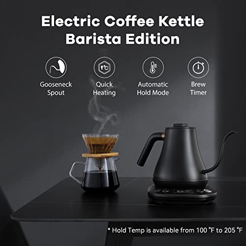Electric Gooseneck Pour-Over Kettle, 0.8L Stainless Steel with Temp Control