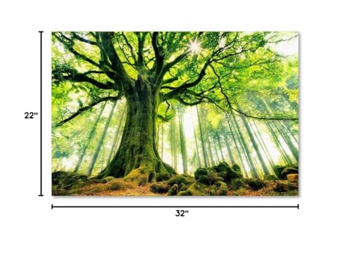 Canvas Wall Art - Christophe Kiciak 'Ponthus Beech' Wall Art for Living Room, Bedroom, or Office Décor by Trademark Fine Art