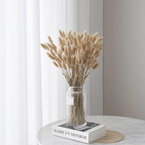 120pcs Dried Bunny Tails Grass 17-Inch Natural Pampas Floral Arrangement