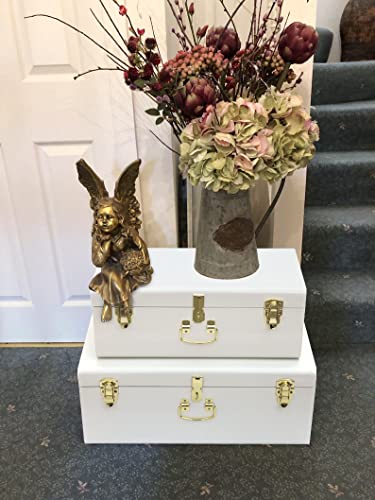 Decorative Metal Storage Trunk Set of 2 with Locking Clasps