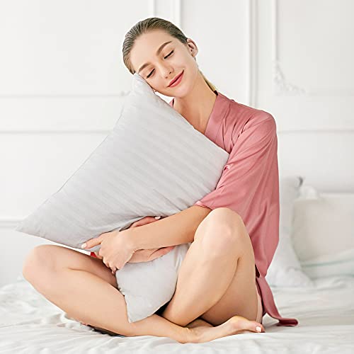 Oubonun 18x18 Throw Pillow Inserts Set of 2 - Fluffy Down Alternative Cushions