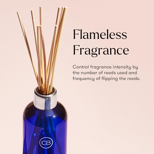 Volcano Reed Diffuser Set - Scented Fragrance Oil & Glass Bottle (8 oz)