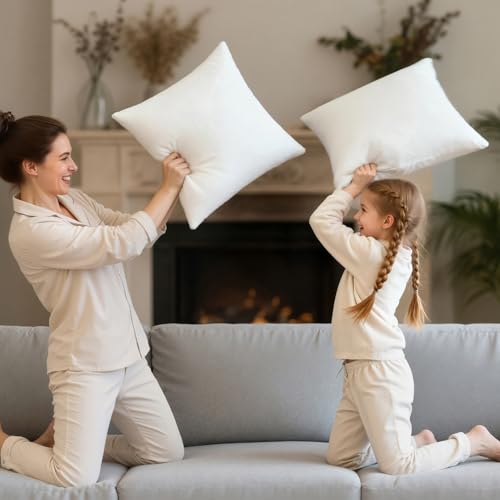 Phantoscope 18x18 Throw Pillow Insert - Soft Down Alternative Cushion Stuffer