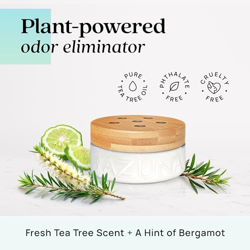 Natural Home Odor Eliminator Gel Refill - Amalfi Breeze (12 oz)