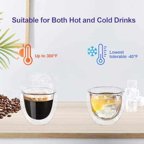 HomeyEra Double Wall Glass Espresso Cups Set of 2, 3oz Insulated Mugs
