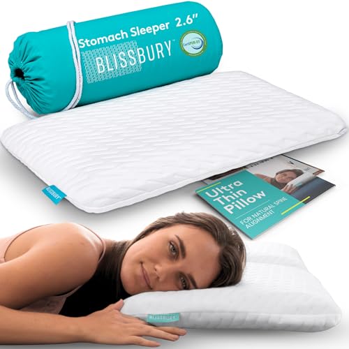 Thin Flat Memory Foam Pillow for Stomach Sleepers - 2.6 Inch
