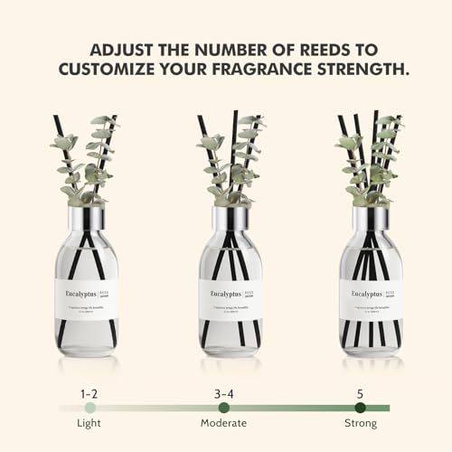Eucalyptus Reed Diffuser Set with Reeds - 6.7 oz Long-Lasting Home Fragrance