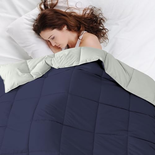 Modern Threads Reversible Down Alternative Comforter - Twin, Navy/Silver