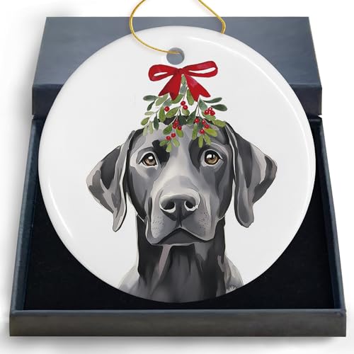 DIENADFX Labrador Mistletoe Ceramic Christmas Ornament – Black Labrador Gift, Double-Sided 3"