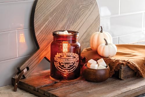 Vintage Glass Wax Warmer with Edison Bulb for Scented Wax Melts and Tarts