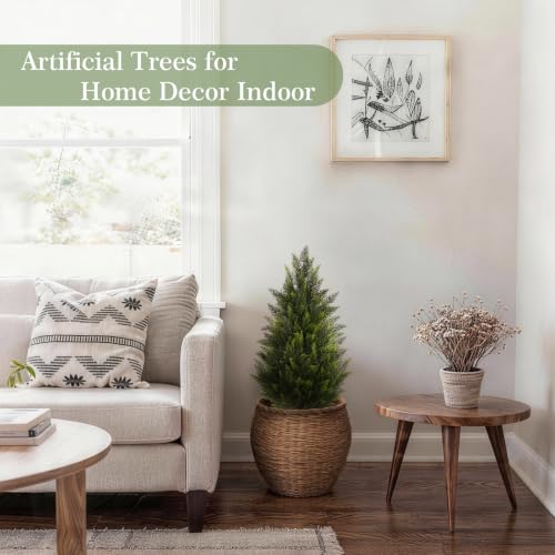 3ft Artificial Cedar Topiary Trees, Set of 2 Faux Pine Shrubs for Porch