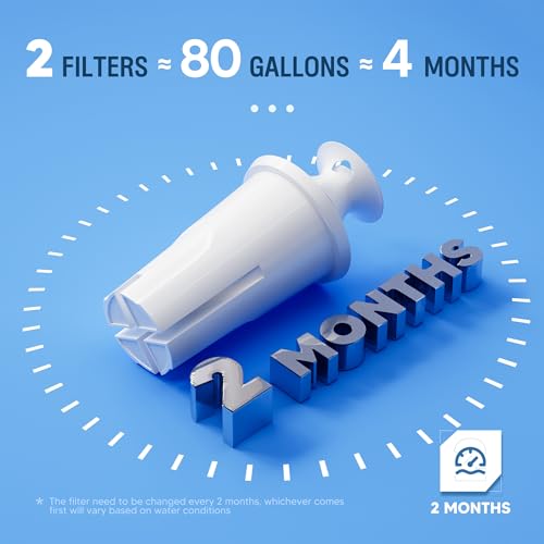 Replacement Water Filters for Pitchers & Dispensers - BPA Free, 3 Pack