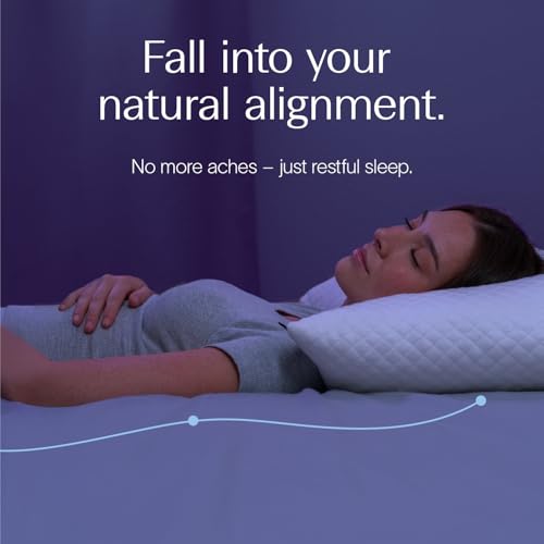 DreamyBlue Adjustable Shredded Memory Foam Pillow - Queen Size Bed Pillow