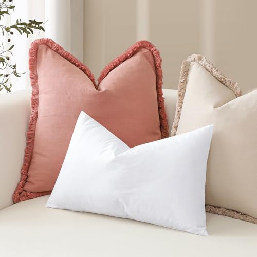 22x22 Synthetic Down Alternative Throw Pillow Inserts, 2-Pack Cotton Cover