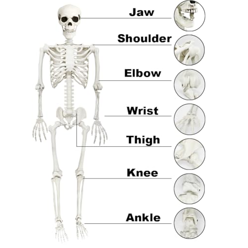 Life-Size Halloween Skeleton Decor with Posable Joints & Glowing Eyes - 5.9ft