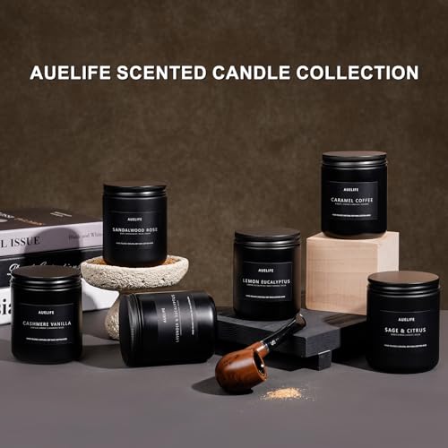 Men's Scented Candle Gift Set - 4 Pack Soy Wax Aromatherapy Candles (200 Hr)