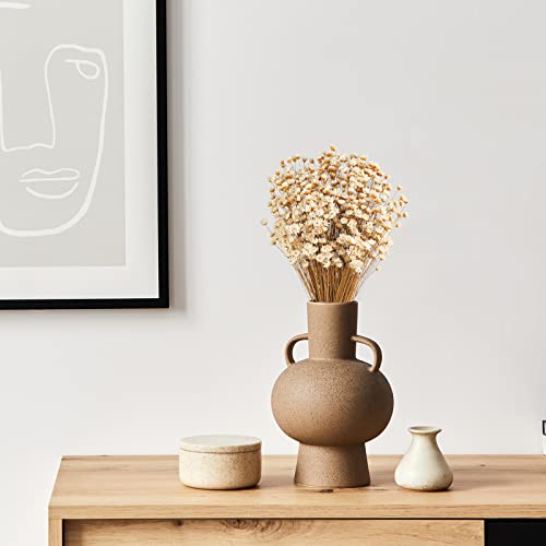 500 Pcs Natural Dried Chamomile Daisy Flowers for Vase Arrangements