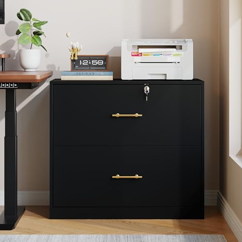 2-Drawer Lateral File Cabinet with Lock, Wood Printer Stand for Home Office