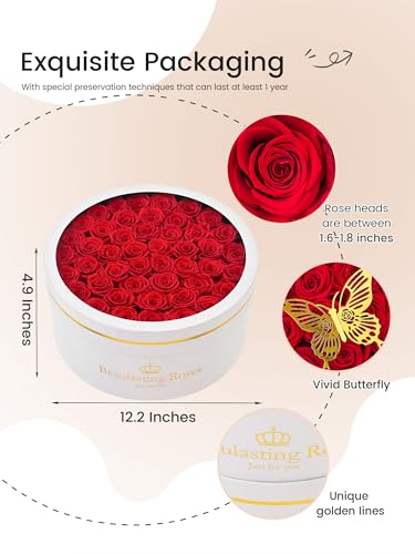 47 Preserved Red Roses in Luxury Velvet Box - Long Lasting Eternal Flowers
