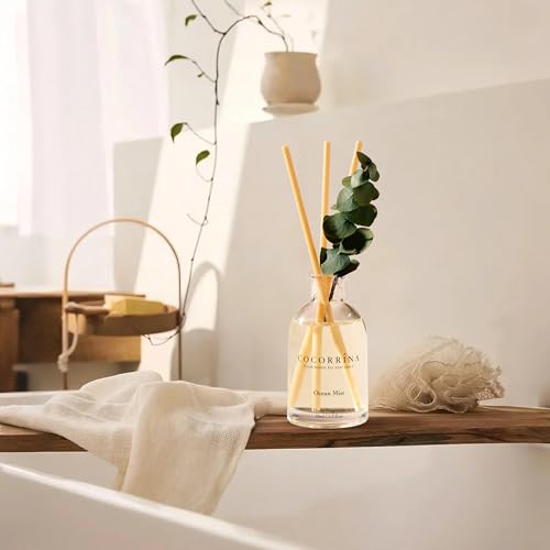 Reed Diffuser Set of 3 with Dried Eucalyptus and Essential Oil Scents