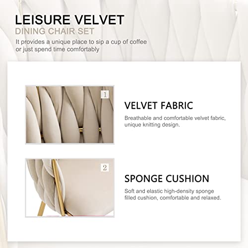 Velvet Upholstered Dining Chairs - Set of 2 with Gold Metal Legs