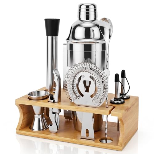 Stainless Steel Cocktail Shaker Set with Stand - 10-Piece Bartender Kit for Home & Bar