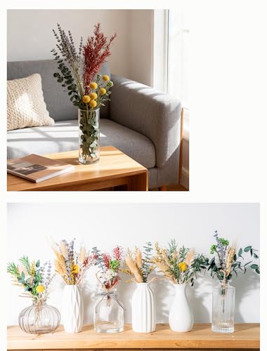 Natural Dried Flowers Bouquet Set (12 Kinds) for DIY Crafts & Vase Decor