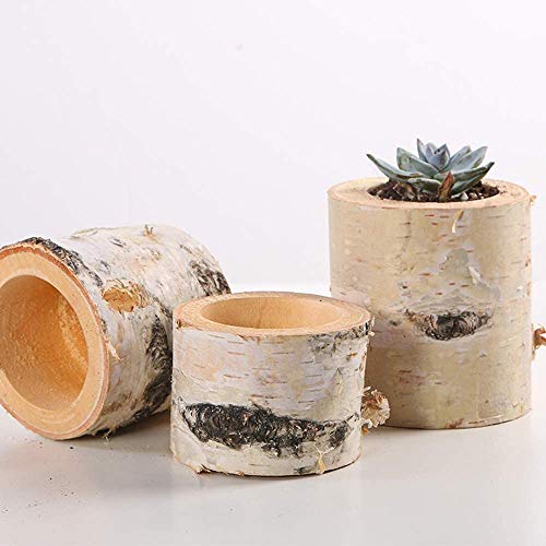 Natural Birch Wood Tealight Candle Holders - Set of 4 Rustic Log Decor