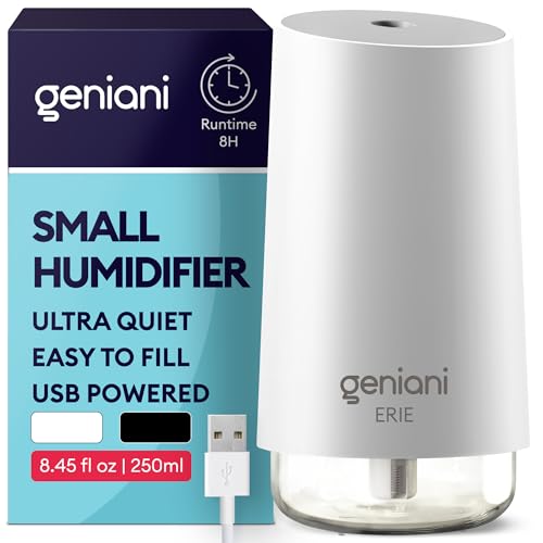 Portable Cool Mist Ultrasonic Humidifier with Auto Shut Off 250ml