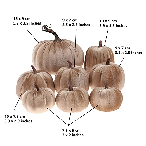 8 Pcs Assorted Velvet Artificial Pumpkins, Champagne Fall Harvest Decor