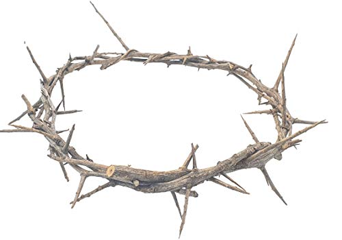 Authentic Lifesize Real Crown of Thorns - Handcrafted Biblical Wreath Decor