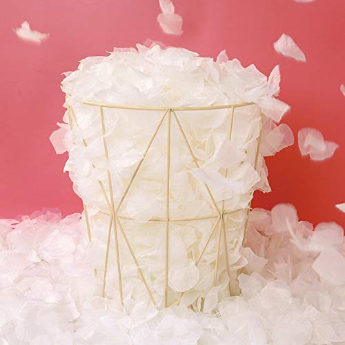 1000 Pcs Ivory Artificial Silk Rose Petals for Weddings & Parties