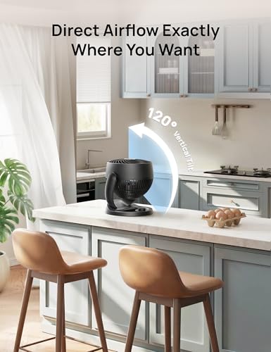 Dreo 12-Inch Quiet Table Air Circulator Fan for Bedroom and Office