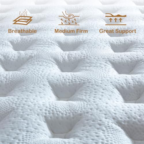 12-Inch Queen Hybrid Mattress, Memory Foam & Pocketed Spring Bed
