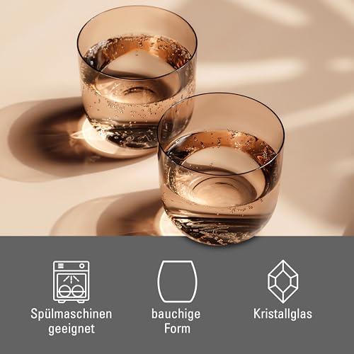 Set of 2 Colored Glass Water Tumblers, Clay Brown Drinking Glasses