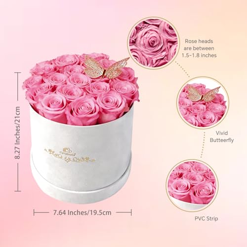 16 Preserved Forever Roses in Luxury Suede Gift Box - Sweet Pink