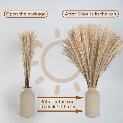 610 Pcs Dried Pampas Grass Decor & Dried Flower Bouquet Set for Boho Home