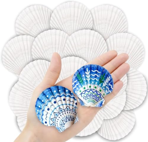 36 Pack Natural White Scallop Shells (2-3 Inch) for Crafts & DIY Decor