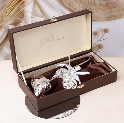 Silver Plated Dipped Handmade Rose Combo Set - 7 Inch & 11 Inch, THE GANCE ROSE