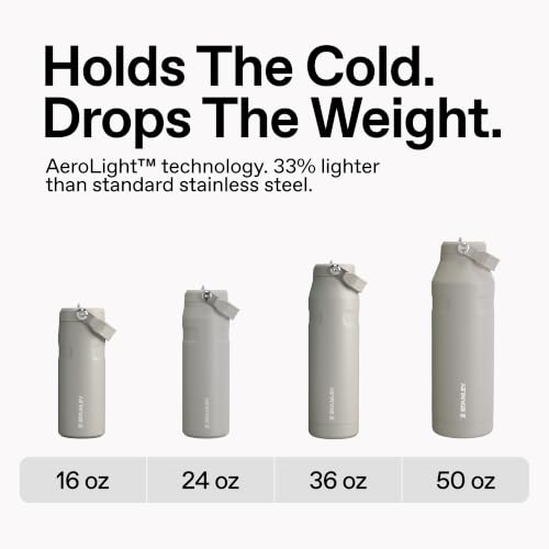 STANLEY IceFlow Flip Straw 2.0 Water Bottle 24 oz Insulated Stainless Steel