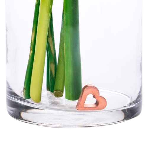 Reusable Pure Copper Flower Vase Charm | Keeps Cut Flower Water Clean