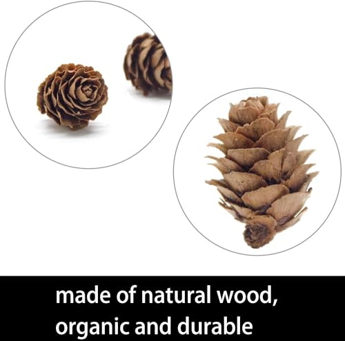 150 Pcs Mini Natural Pine Cones (0.78") for DIY Crafts & Holiday Decor